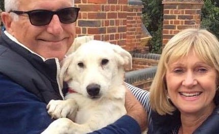 What To Expect When You Bring Your Romanian Rescue Dog Home – Part I