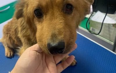 Emergencies – Be Prepared For Them