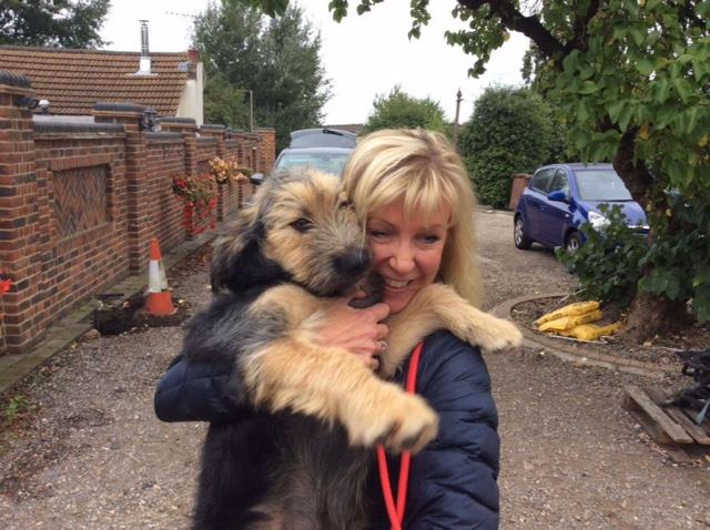 What to expect when you bring your Romanian Rescue Dog home – Part III