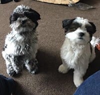 Billy & Marnie