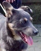 Jude