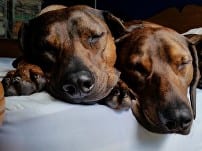 Lottie & Betty