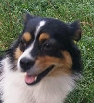 Mia