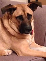 Ted