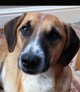 Spencer - Home Pending