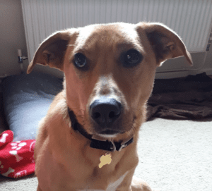 Einstein - in UK Foster