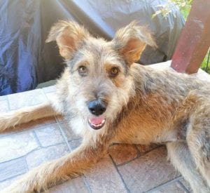 Emma - Reserved