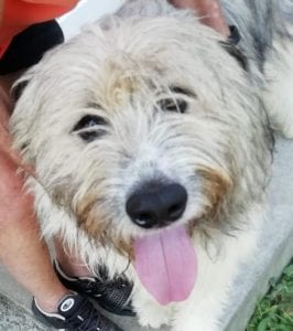 Teddy - Reserved