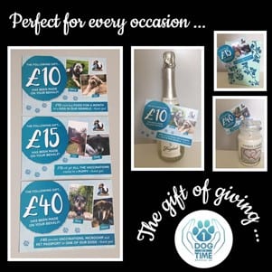 Gift card voucher birthdays Christmas for every occasion| 1 Dog At a Time Rescue UK