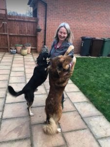 Guta and Mickey Romanian Rescue Dogs in the garden ¦ 1Dog at a Time Rescue UK