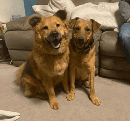 How Does Your Home Smell?