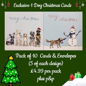 Romanian street dog Christmas card| 1 Dog At a Time Rescue UK | Dedicated To Rescuing and Rehoming Romanian Street Dogs