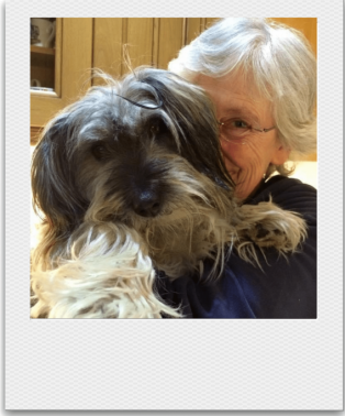 Pippa a Romanian rescue dog and her adopter cuddling 2 Pippa a Romanian dog cuddling her owner | 1 Dog At a Time Rescue UK