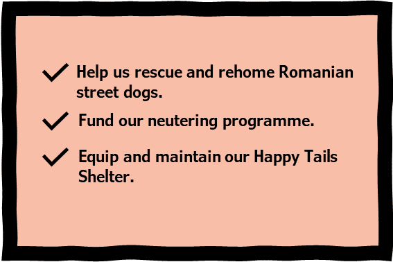 How a gift in your will helps 1 Dog Rescue How a gift in your will helps | 1 Dog At a Time Rescue UK | Dedicated To Rescuing and Rehoming Romanian Street Dogs