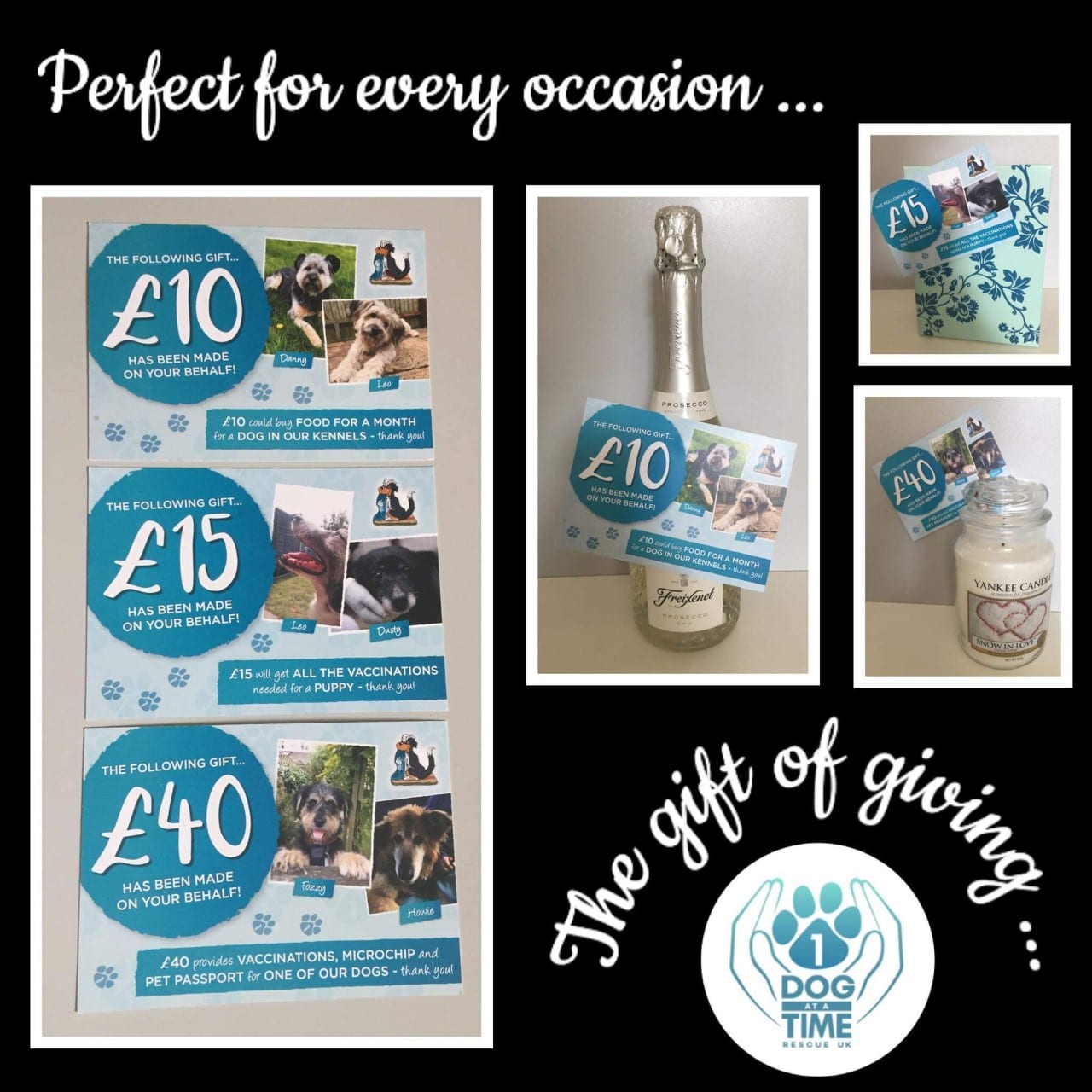 Gift vouchers in £10 £15 and £40 Gift vouchers | 1 Dog At a Time Rescue UK | Dedicated To Rescuing and Rehoming Romanian Street Dogs