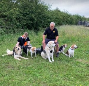 Milo Romanian Rescue Dog ¦ 1 Dog at a Time Rescue UK