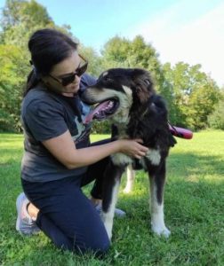 Casey a black and tan Romanian rescue dog | 1 Dog at a Time Rescue UK