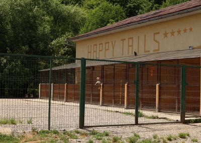 Happy Tails shelter | 1 Dog At a Time Rescue UK | Dedicated To Rescuing and Rehoming Romanian Street Dogs
