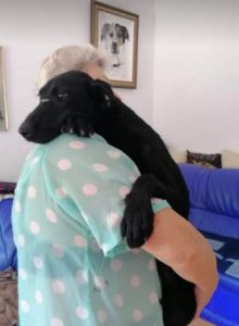 Isabella a black Romanian rescue dog | 1 Dog at a Time Rescue UK