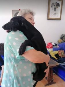 Isabella a black Romanian rescue dog | 1 Dog at a Time Rescue UK