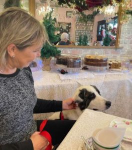 Lena Romanian rescue dog | 1 Dog at a Time Rescue UK