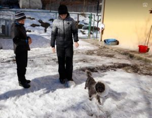 Nico a black Romanian rescue dog | 1 Dog at a Time Rescue UK