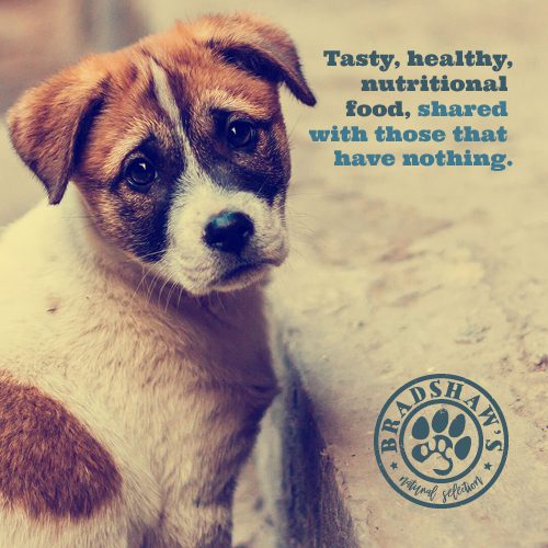 Bradshaw s Dog Food 1 Dog At A Time Rescue UK