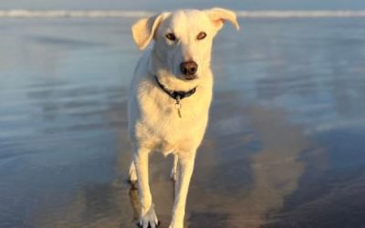 Jessica – In the UK