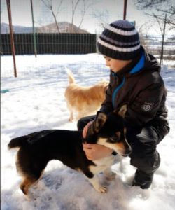 Miska a black and tan Romanian rescue dog | 1 Dog at a Time Rescue UK