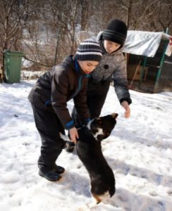 Miska a black and tan Romanian rescue dog | 1 Dog at a Time Rescue UK