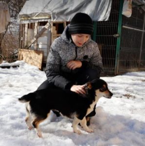 Miska a black and tan Romanian rescue dog | 1 Dog at a Time Rescue UK