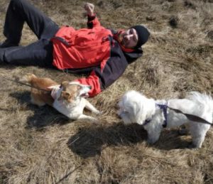 William a tan and white romanian rescue dog | 1 dog at a time rescue uk