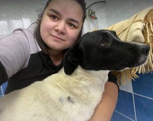 Shadow a black and white romanian rescue dog | 1 dog at a time rescue uk