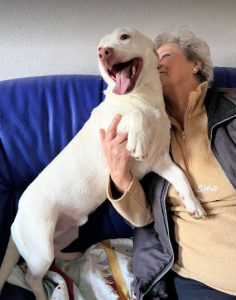 Joey a white Romanian rescue puppy | 1 Dog at a Time Rescue UK