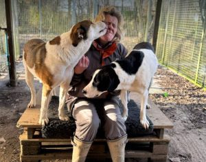 Luca a black and white rescue dog | 1 dog at a time rescue UK