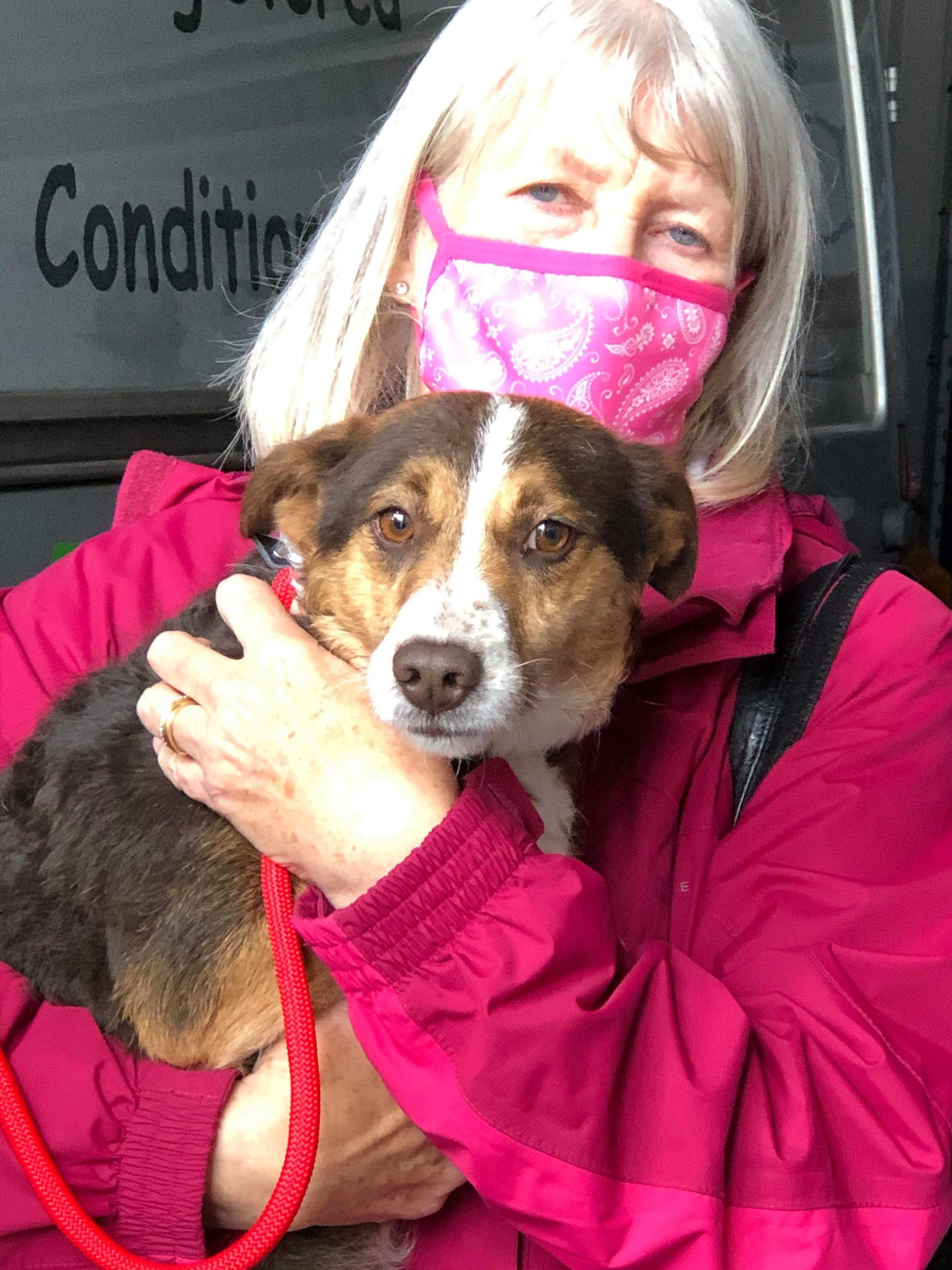 Gracie the Romanian black and tan rescue dog in arms of adopter in a pink face mask and coat | 1 Dog At a Time Rescue UK | Dedicated To Rescuing and Rehoming Romanian Street Dogs