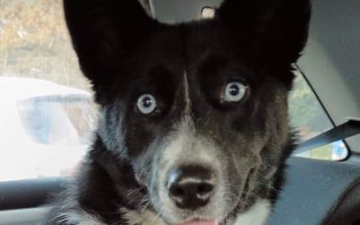 Skye