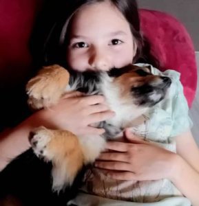 Maddie a black and brown rescue dog | 1 dog at a time rescue UK