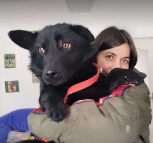 Bernie a black rescue dog | 1 dog at a time rescue UK