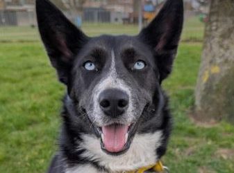 Skye