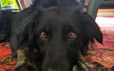 Tilly