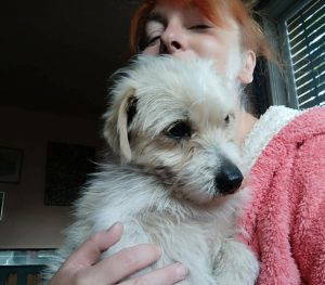 Edward a white rescue dog | 1 dog at a time rescue UK